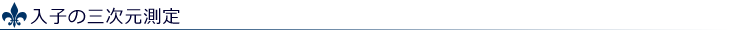 入子の三次元測定