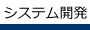 システム開発